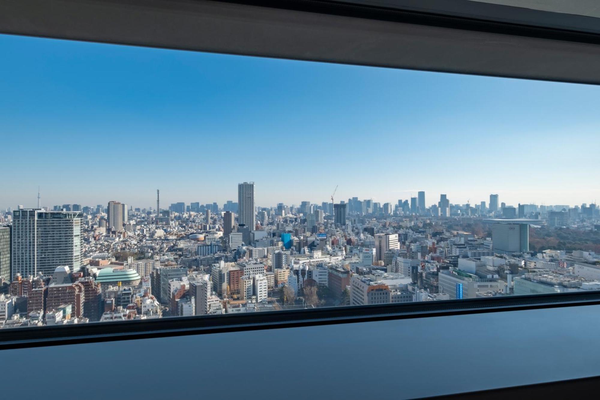Hotel Gracery Shinjuku Tokyo Esterno foto